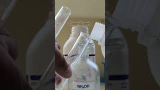 Confirmatory Test of Magnesium Ion Salt analysis Chemistry Practical class 11 class 12 [upl. by Comptom]