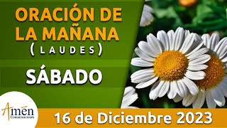 👇ORACIÓN DE LAUDES DE HOY 6 DE NOVIEMBRE laudes laudesdehoy cantordelcamino liturgiadelashoras [upl. by Nileve250]