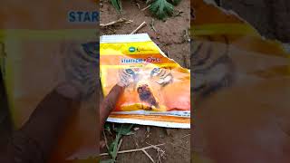 STARTHENE POWER insecticideacephate 50imidacloprid18sp [upl. by Nnylesor]