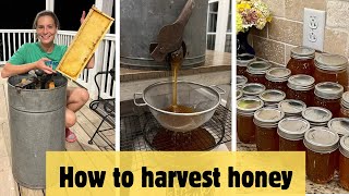 Beekeeping 101 HOW TO HARVEST HONEY  Every step explained for beginner beekeepers [upl. by Reames]