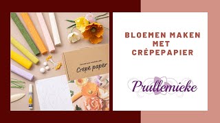 Bloemen met crépepapier [upl. by Royd]