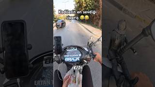 Kedilerin en sevdiği sipariş 😂😂 shorts keşfet kurye motovlog viral fyp tiktok trendyolgo [upl. by Youngman]