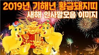 2019년 기해년 황금돼지띠2019년 새해 인사말 추천 새해 인사말모음 이미지 [upl. by Ferwerda]