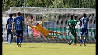 Ludogorets  BV Linz 10  Friendly game [upl. by Akehsay797]