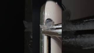 TEST Cleaning iPhone audio jack with hot glue asmr waitforit satisfying cleaning [upl. by Leirud]