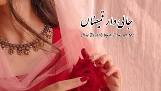 Jali Dar Kameezan Song 🎧♥️  Slow Reverb by Janiiwrites002 Singer shafaullahkhanrokhri584 [upl. by Ahsam]