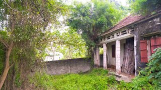 What do you think  When I Clean Up The Overgrown Lawn of an Abandoned House [upl. by Delmore]