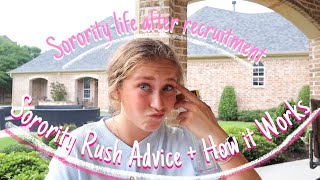 Explaining sorority recruitment  what sorority life is like after rush [upl. by Anelam]