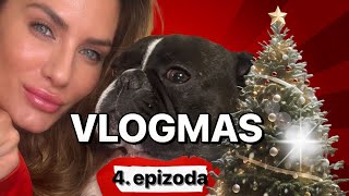 Ana Curcic  Vlogmas Dan 431 [upl. by Sorvats]