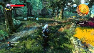 The Witcher 3  Nameless Floodgate Bridge Puzzle Morkvarg the Werewolf Intro Dialogue Cutscene [upl. by Rance]