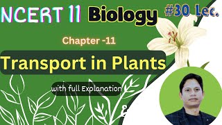 Transport in Plants  Class 11 Biology Made Easy  NCERT Explained [upl. by Carpet]