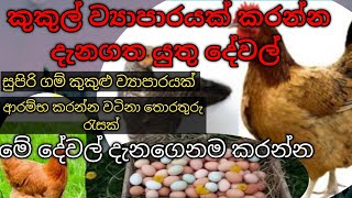 කුකුල් ව්‍යාපාරයක් කරන්න දැනගත යුතු දේවල් gam kukul palanayahow to make chicken pramගම් කුකුළු [upl. by Germann]