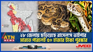 ২৮ জেলায় ছড়িয়েছে রাসেলস ভাইপার মারতে পারলেই ৫০ হাজার টাকা পুরস্কার  Russels Viper  ATN News [upl. by Placidia]