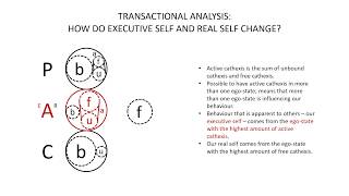 Transactional Analysis Executive Self and Real Self [upl. by Kcirdorb248]