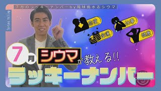 【殿堂予想選手権vol2】単騎連射マグナム、機術士ディール「本日のラッキーナンバー」【デュエマ】 [upl. by Rockwood]