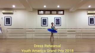 Princess Florine BLUEBIRD VariationBallerina indonesiaMaryam Sean10yYAGP indonesia 2018 [upl. by Now282]