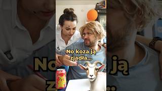 Gdzie się podziała koza 🐐 😂 Zobacz co narysował Maciuś śmieszne rodzinka suchary [upl. by Halland]