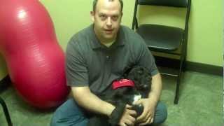 Animal Chiropractic Care for Seizures [upl. by Hselin]