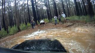 Toolangi 4wd Not much help track [upl. by Niffirg528]