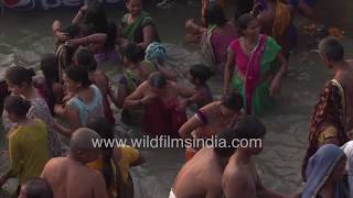 Mass dipping at the Ganges in Banaras  Sacred snan of Hindus [upl. by Zeidman825]