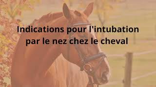 LIntubation chez le Cheval et le Poulain [upl. by Goebel]