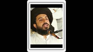 Tlp status  tlp  Saad Hussain Rizvi shorts [upl. by Jeanie329]