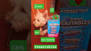 Simón YT con sus nuevos feastables 🍫 🎉❤️🥳🐕 [upl. by Nylacaj]