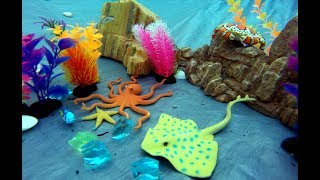 Sea Animals Fun Toys  Learn Animal Names Video For Kids [upl. by Stoddart]