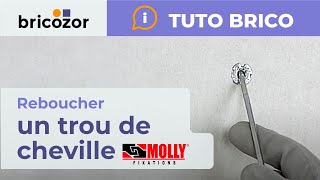 Comment reboucher un trou de cheville Molly dans une plaque de plâtre  Tuto Bricozor [upl. by Mraz]