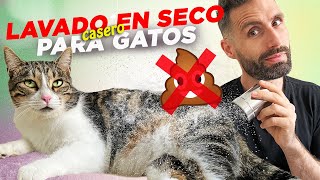 LIMPIEZA DE GATOS SIN AGUA con CHAMPÚ CASERO EN POLVO 😽🧼 ¡Adiós malos olores ¿Vinagre para pulgas [upl. by Fayina]