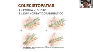 Colecistopatias Colelitíase e Colecistite [upl. by Pytlik392]