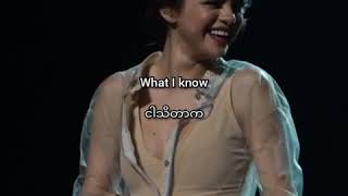 Selena Gomez  My Dilemma mm sub [upl. by Stepha]