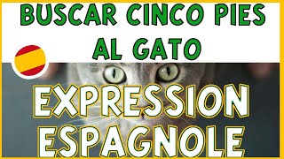 ► COMPRENDRE lexpression ESPAGNOLE  quotBuscar cinco pies al gatoquot 👌🏻 [upl. by Aryn]