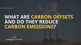 What Are Carbon Offsets and Do Carbon Offsetting Reduce Emissions Explained [upl. by Fauman]