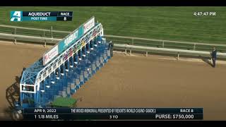 Kentucky Derby 2022 prep analysis  Wood Memorial [upl. by Rancell]