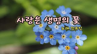 사랑은 생명의 꽃  노래 전유진 [upl. by Gere788]