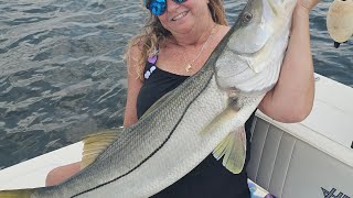 Big Snook caught in Loxahatchee River jupiter bigsnook snook floridafishing fishing hugesnook [upl. by Landy831]