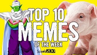 TOP 10 VIDEO MEME della SETTIMANA 8  ScuolaZoo [upl. by Eanil]