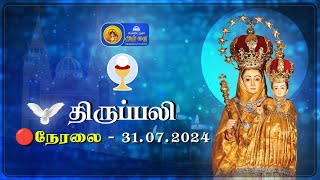 🔴 LIVE  Holy Mass in Tamil  31st July 2024  Annai Vailankanni Shrine  Besant Nagar Annai [upl. by Belva]