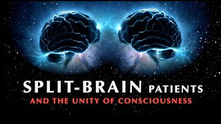 Splitbrain and left hemisphere quotinterpreterquot [upl. by Buna]