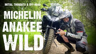 Reviews Bikes amp Stuff Michelin Anakee Wild tyres [upl. by Anrim]