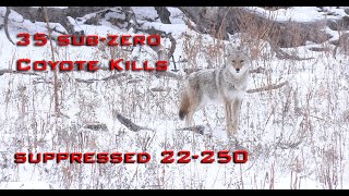 35 Sub Zero Coyote Kills Epic Winter Coyote Hunting [upl. by Particia]