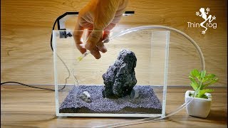 Setting up my new betta fish tank [upl. by Rosemaria]