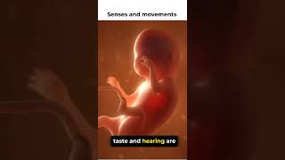 senses and movements in fetus embryo human reproduction biology olevels biology igcse [upl. by Corby]