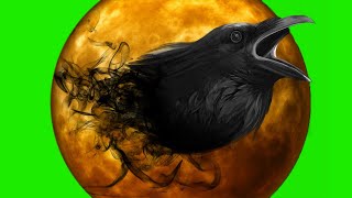 Flying black birds video effect green screen no copyright Horror Raven chroma key [upl. by Eislek905]