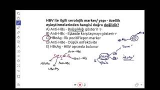 HBV MARKERLARI BİR SORU ÜZERİNDEN ÖZET [upl. by Mehs]