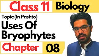 Uses of bryophytes  Class 11 biology chapter 8 in pashto [upl. by Leba]