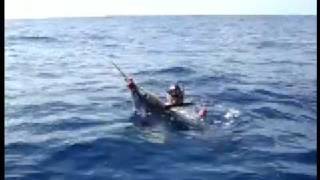 Spearfishing BCS FishKillers11 [upl. by Ecyob432]