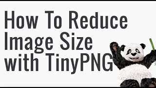 How to Compress Images using TinyPNG [upl. by Annavoig]