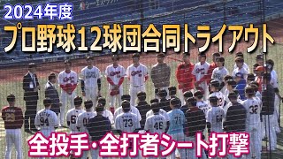 【プロ野球12球団合同トライアウト】元巨人の陽岱鋼など45人が参加／全投手全打者シート打撃ダイジェスト [upl. by Notsle23]